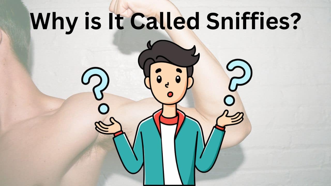 Why is It Called Sniffies?