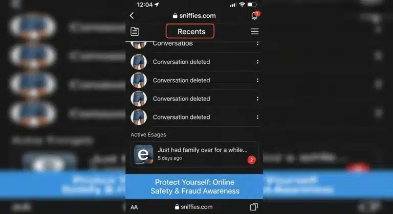 Sniffies Chat Disappear