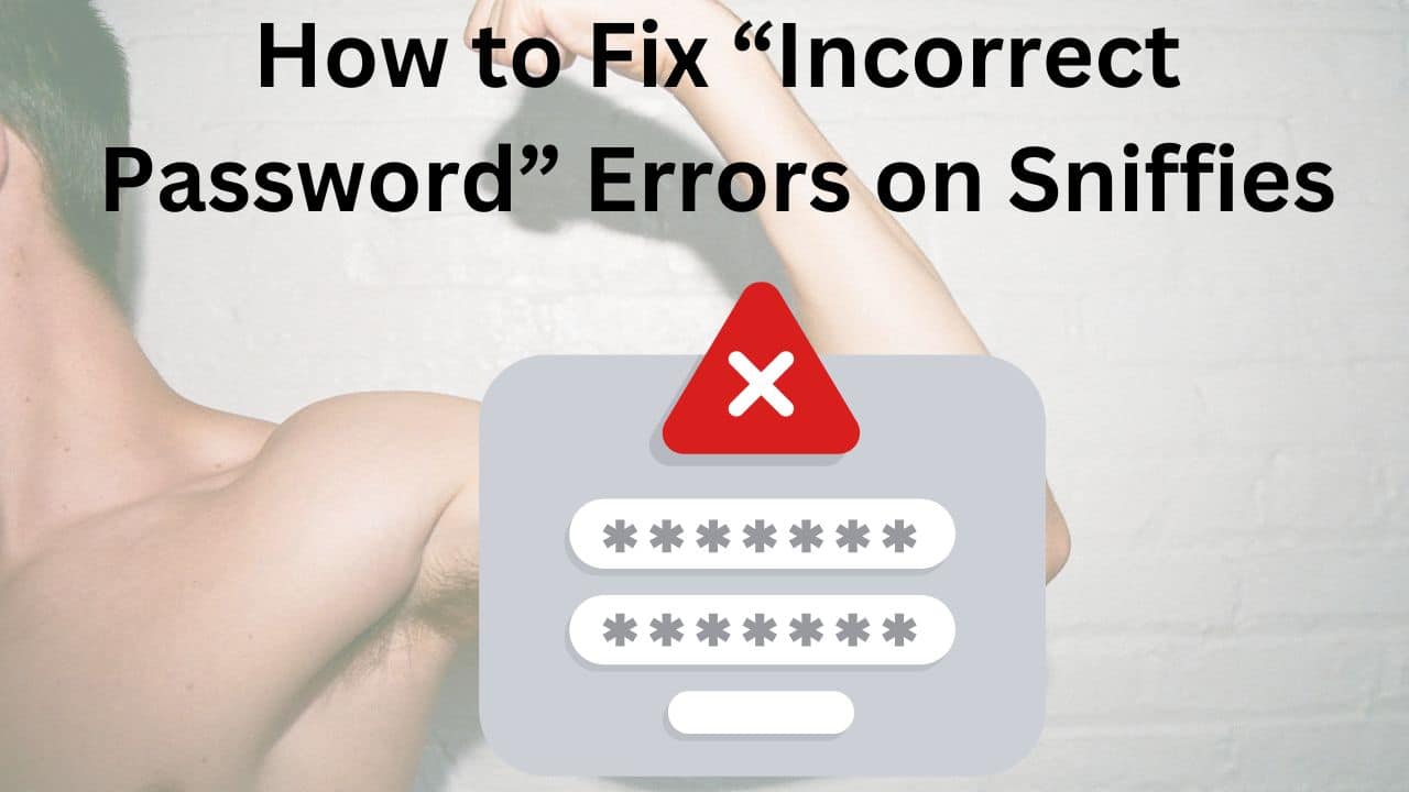 How to Fix “Incorrect Password” Errors on Sniffies